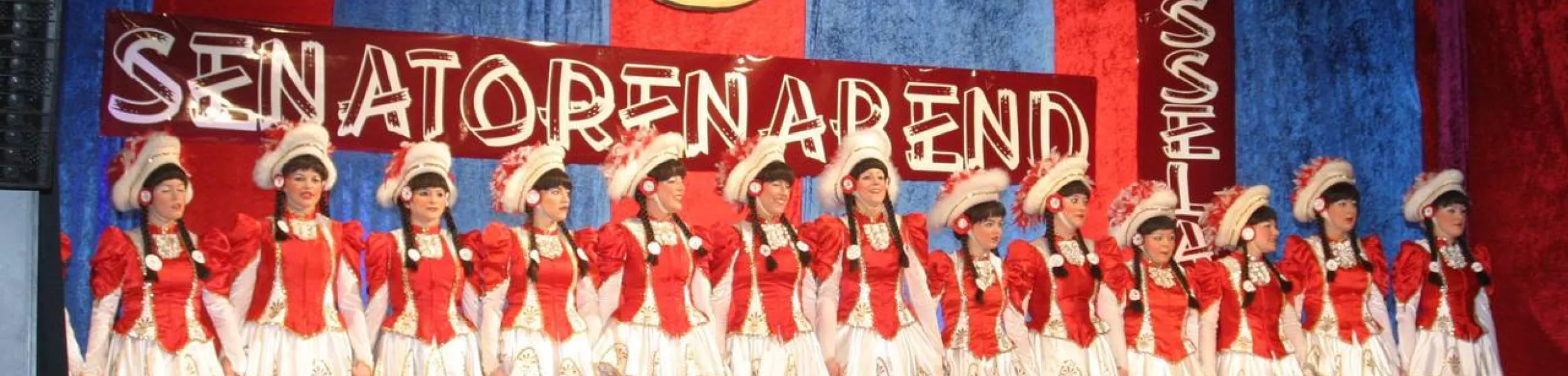 Headerimage - Senatorenabend 2013