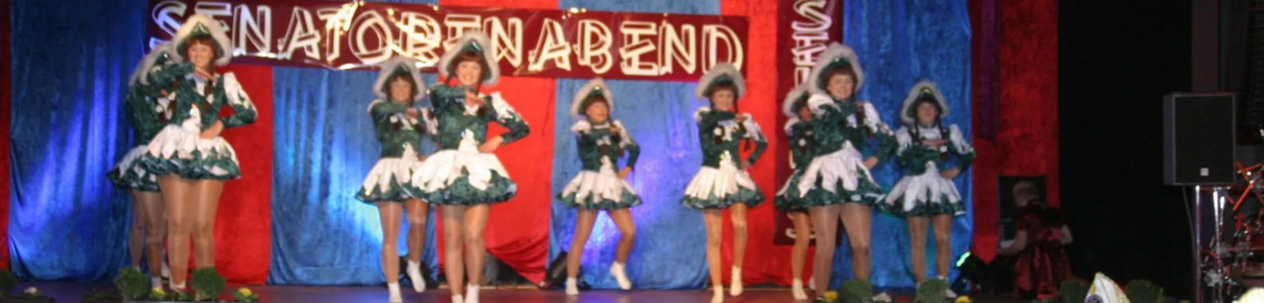 Headerimage - Senatorenabend 2014