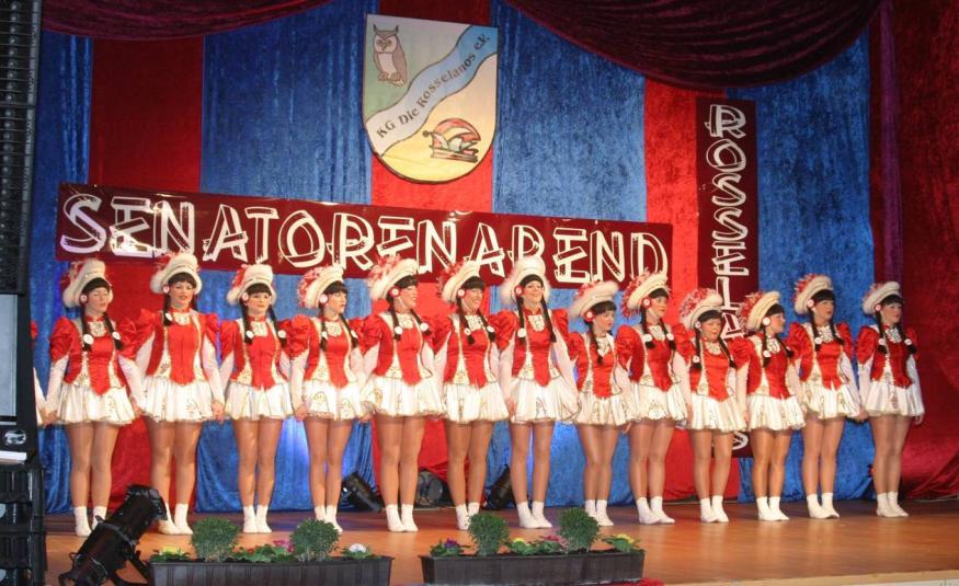 Headerimage - Senatorenabend 2013