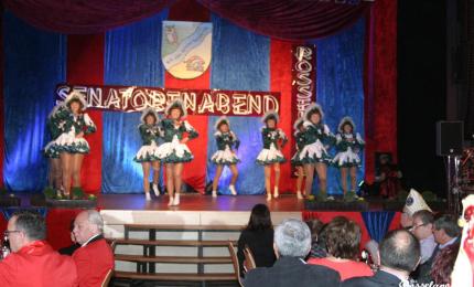 Headerimage - Senatorenabend 2014