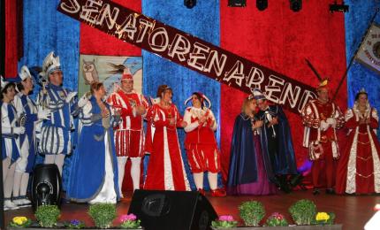 Headerimage - Senatorenabend 2015