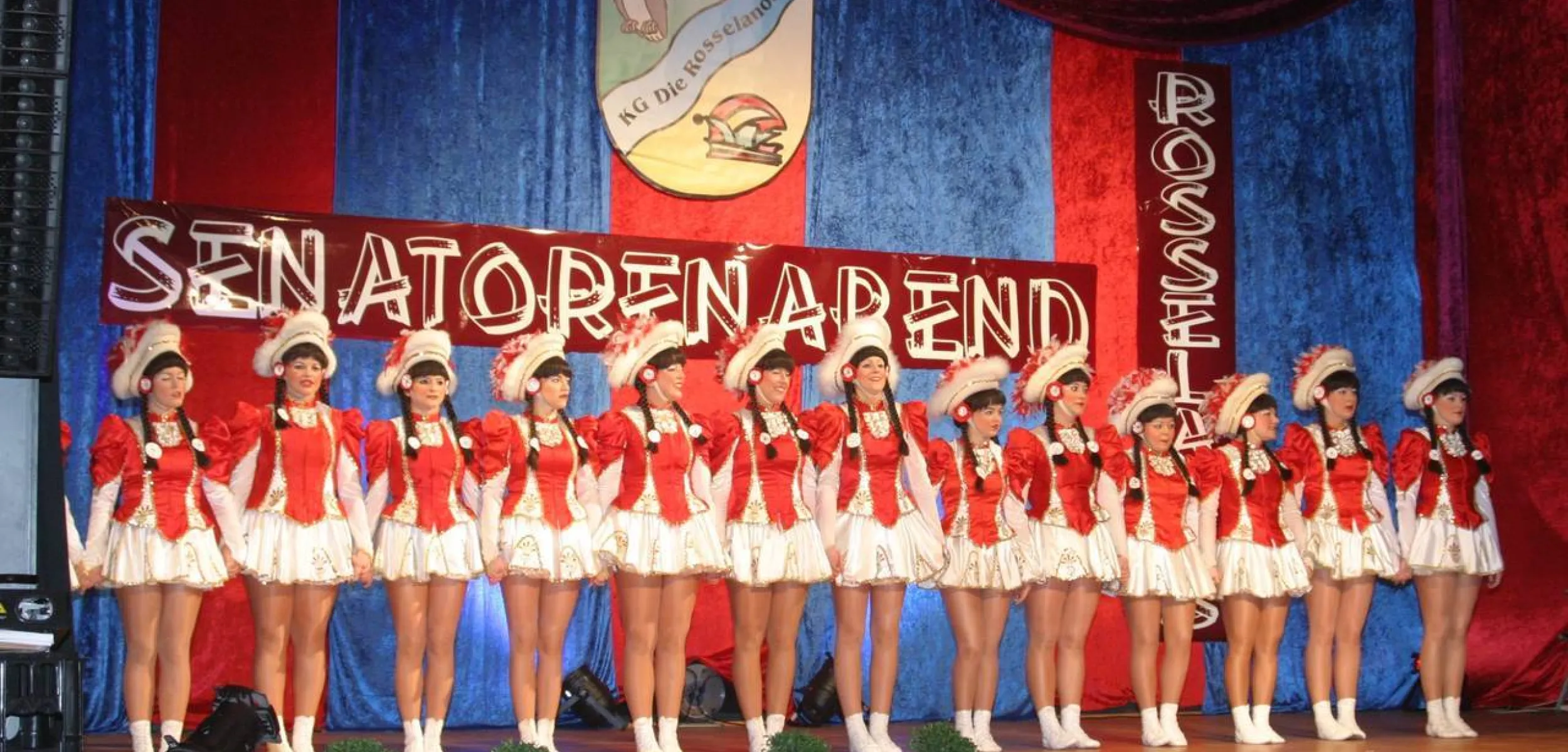 Headerimage - Senatorenabend 2013